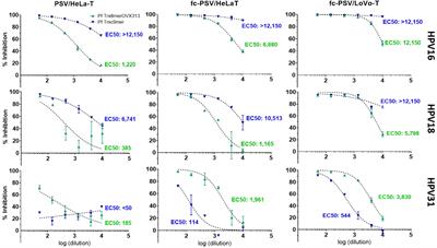 Advances on two serological assays for human papillomavirus provide insights on the reactivity of antibodies against a cross-neutralization epitope of the minor capsid protein L2